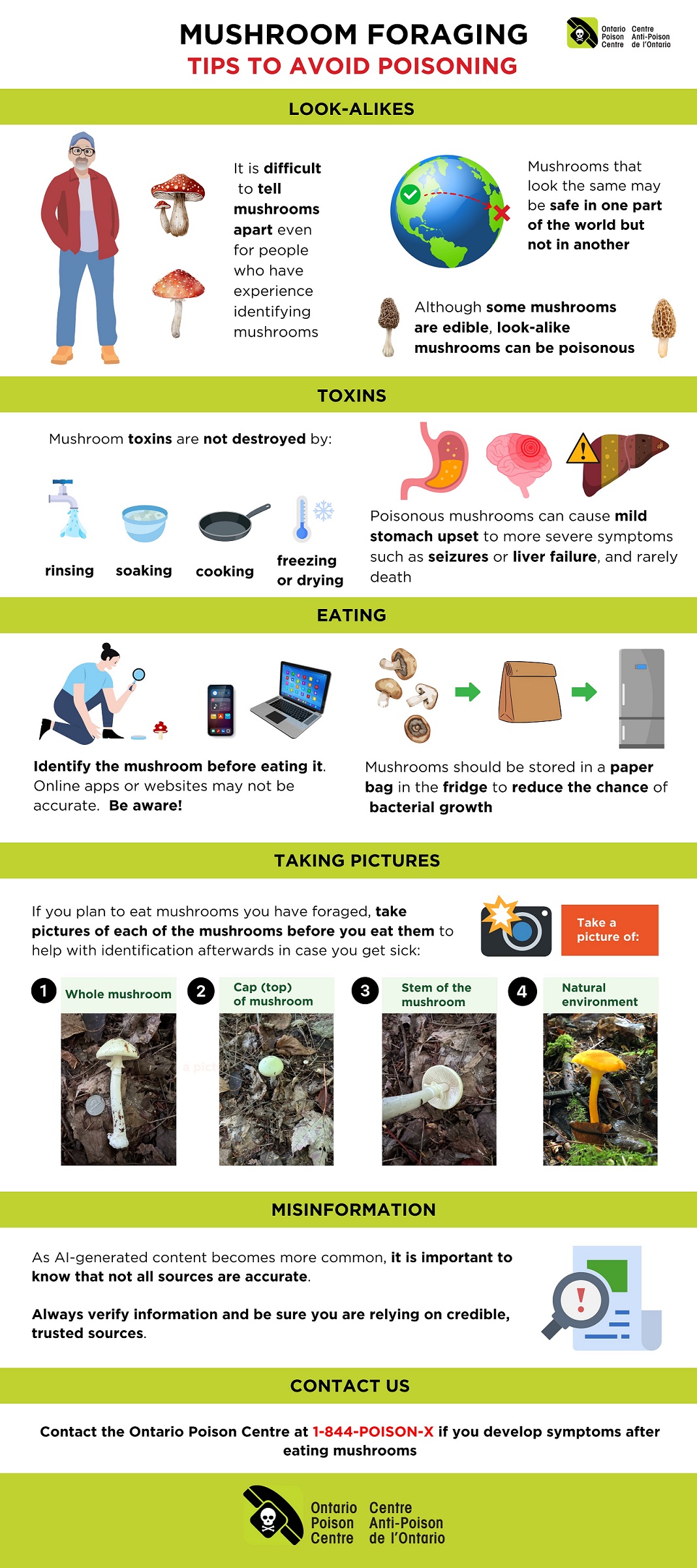 Mushroom Foraging Infographic.jpg